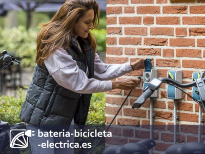 ¿Puedo sobrecargar la batería de mi e-bike?