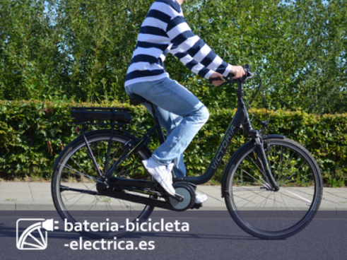 ¿Cuánto cuesta una batería de bicicleta?