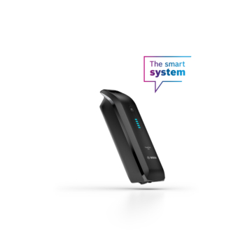 Bosch PowerPack 545 Smart | Cuadro