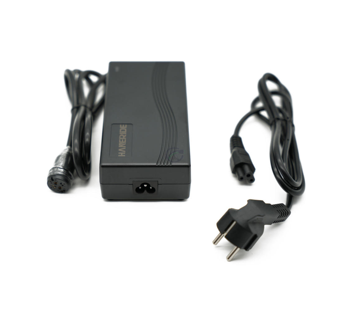 Vista frontal del cargador compatible Gazelle Impulse 42V 3A con conector Rosenberger desde un ángulo más alto. El adaptador está al lado del cargador.